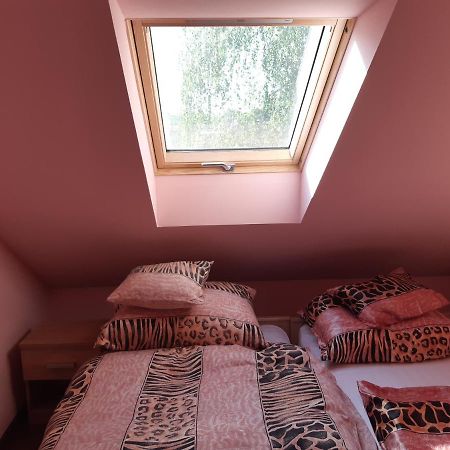 Balogh Vendeghaz Hotell Szeged Exteriör bild
