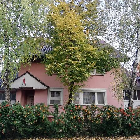 Balogh Vendeghaz Hotell Szeged Exteriör bild