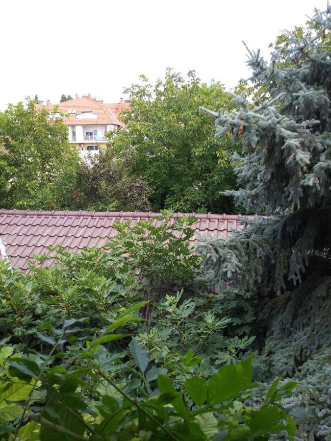 Balogh Vendeghaz Hotell Szeged Exteriör bild